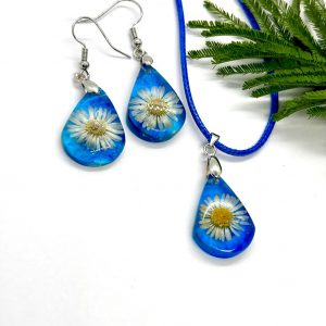 Pâquerettes au Ciel Bleu