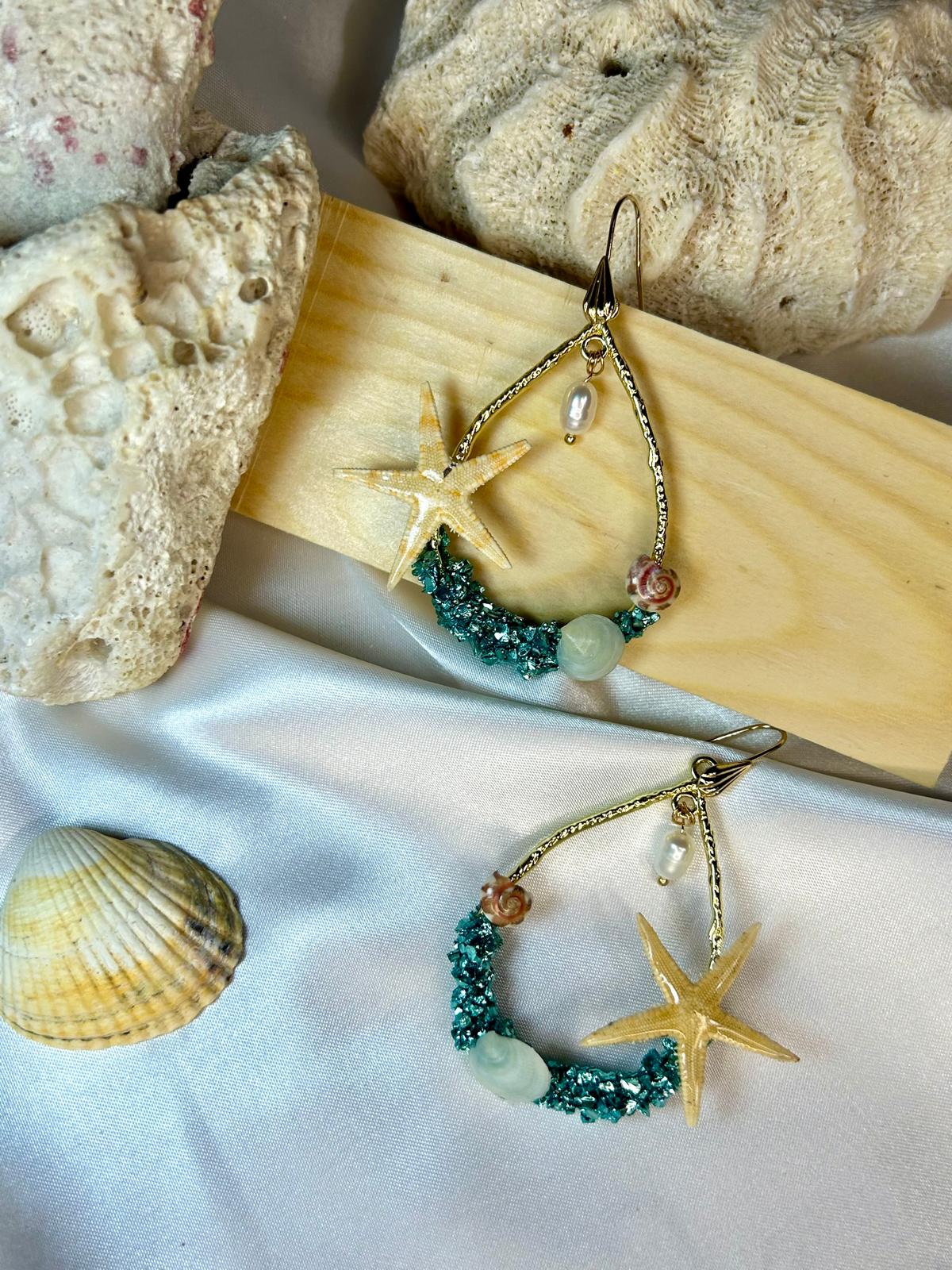 Trésor Marin – Image 2