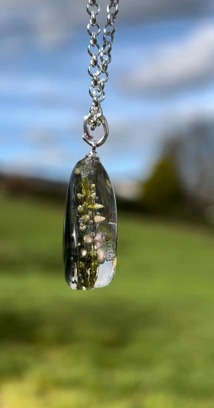 Bruyère sur Encre – Image 2