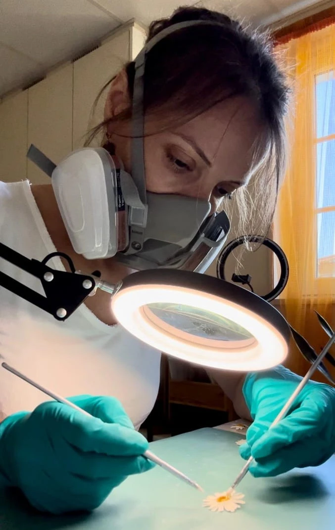 La-transformation-AngelArt