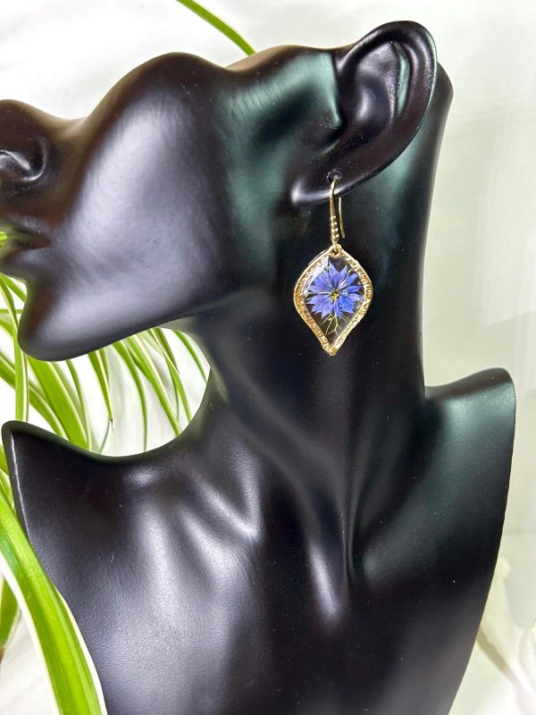 Nigelle de Damas – Image 2