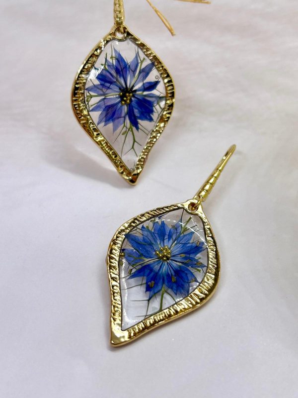 Nigelle de Damas – Image 3