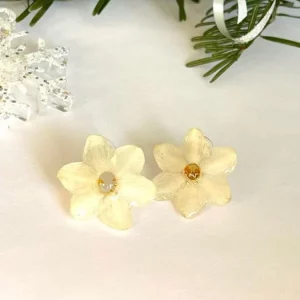 Narcisses de Décembre