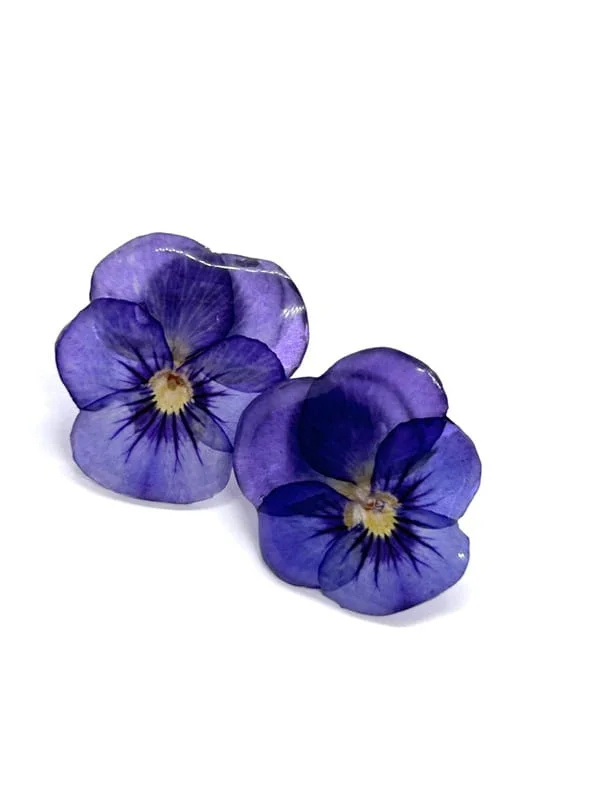 Pensées Violettes – Image 4