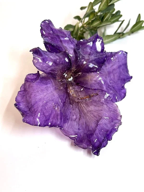 Demoiselle Florale – Image 5