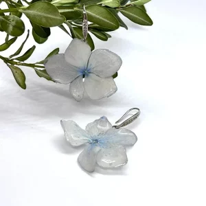L'essence de l'Hortensia