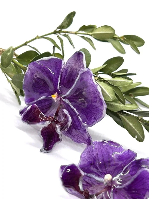 Divine Orchidée – Image 4