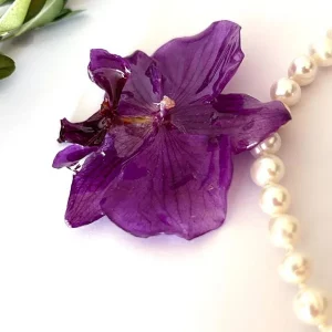 Mystère d'Orchidée