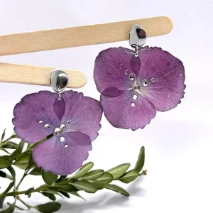 Ailes d'Hortensia