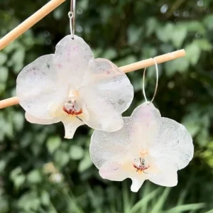 l'Instant d'Orchidée
