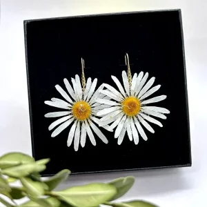 Marguerites sur crochets